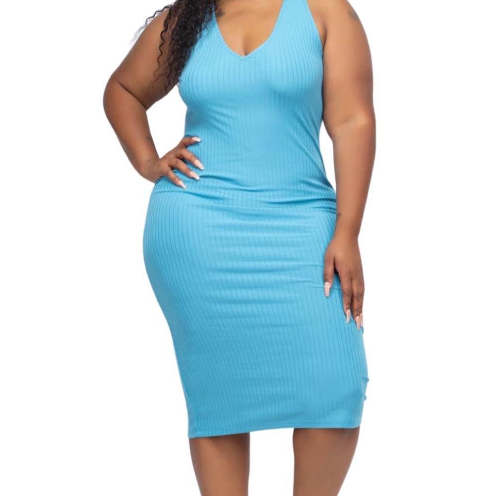 Plus Size Sleeveless Bodycon Dress